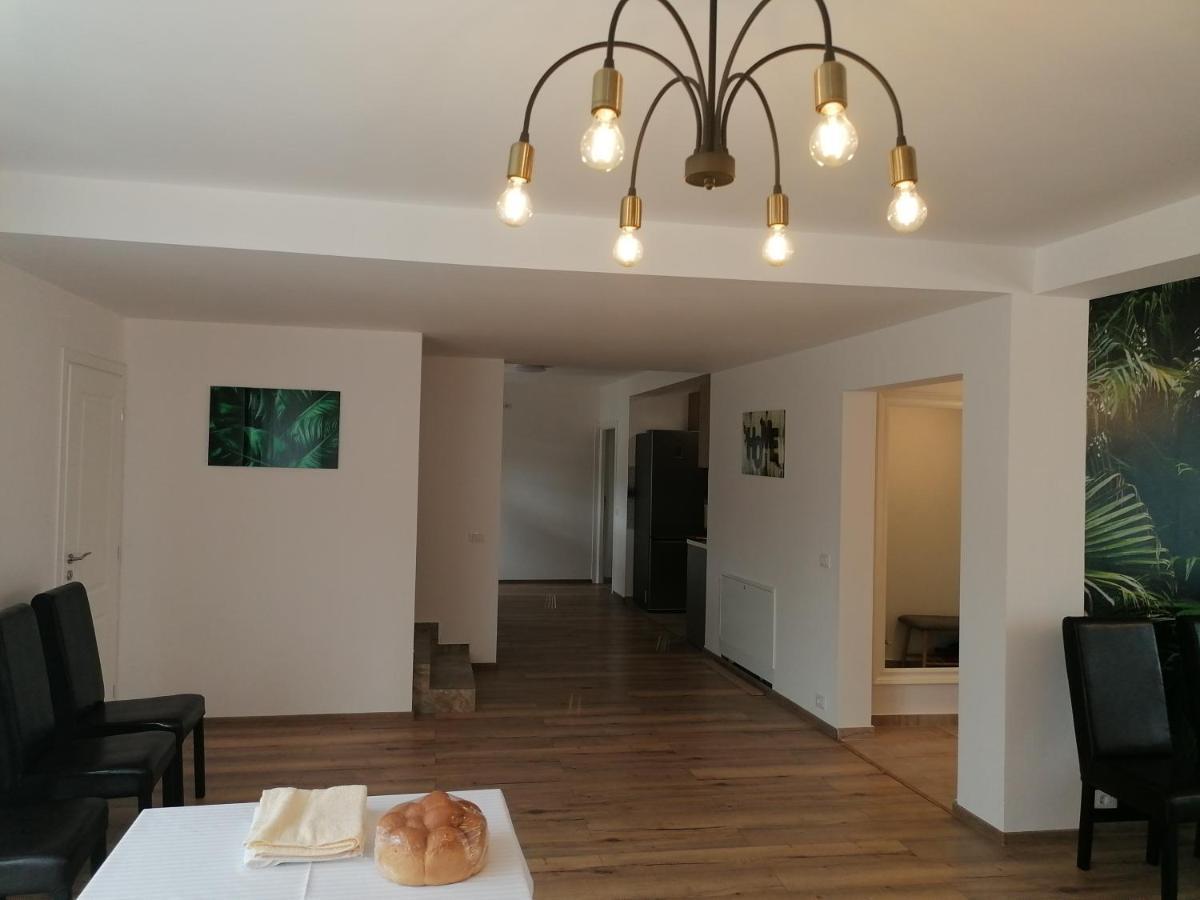 Agropensiunea Vila Cristina Niculitel Экстерьер фото