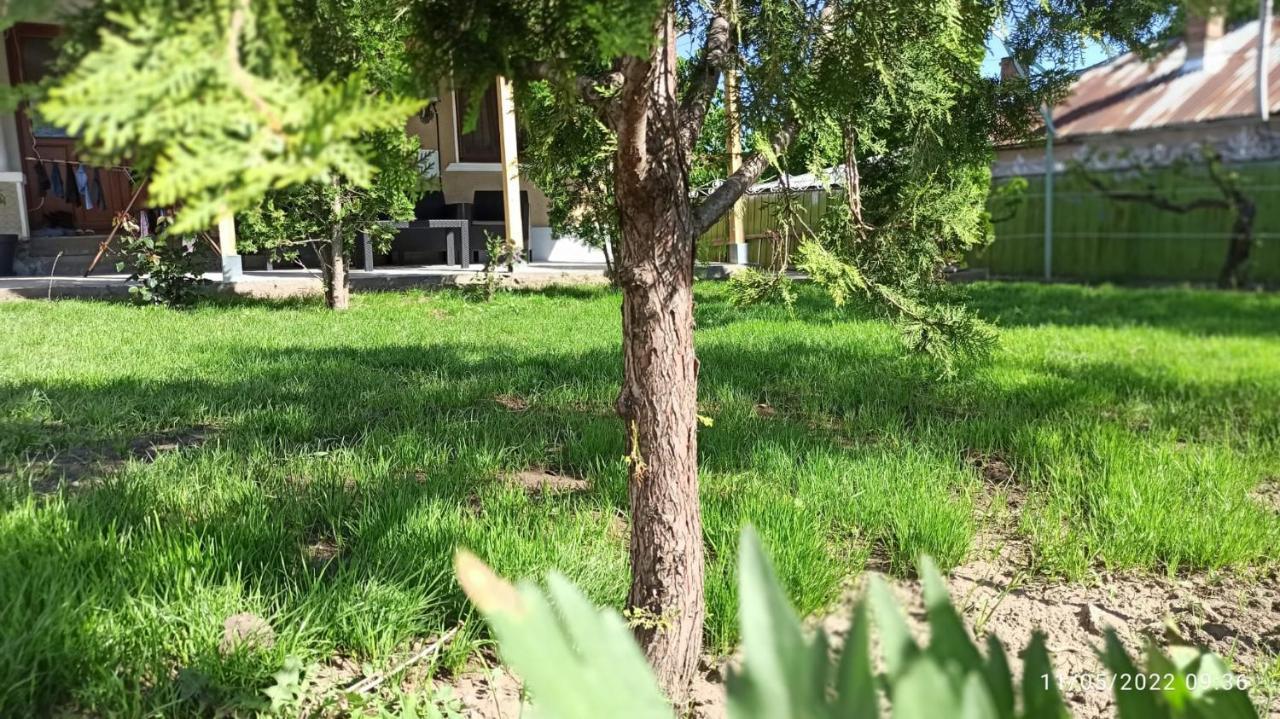 Agropensiunea Vila Cristina Niculitel Экстерьер фото