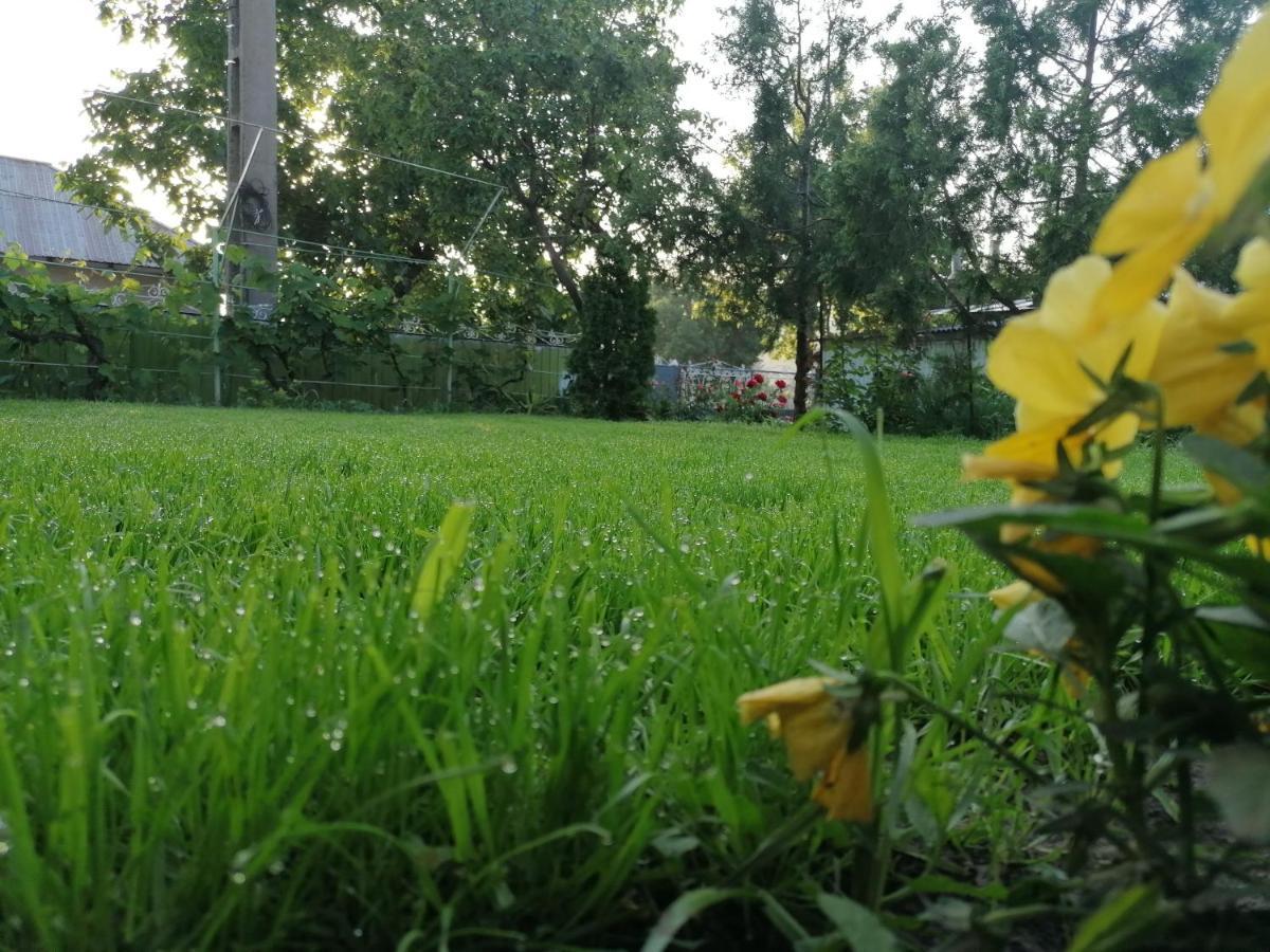 Agropensiunea Vila Cristina Niculitel Экстерьер фото