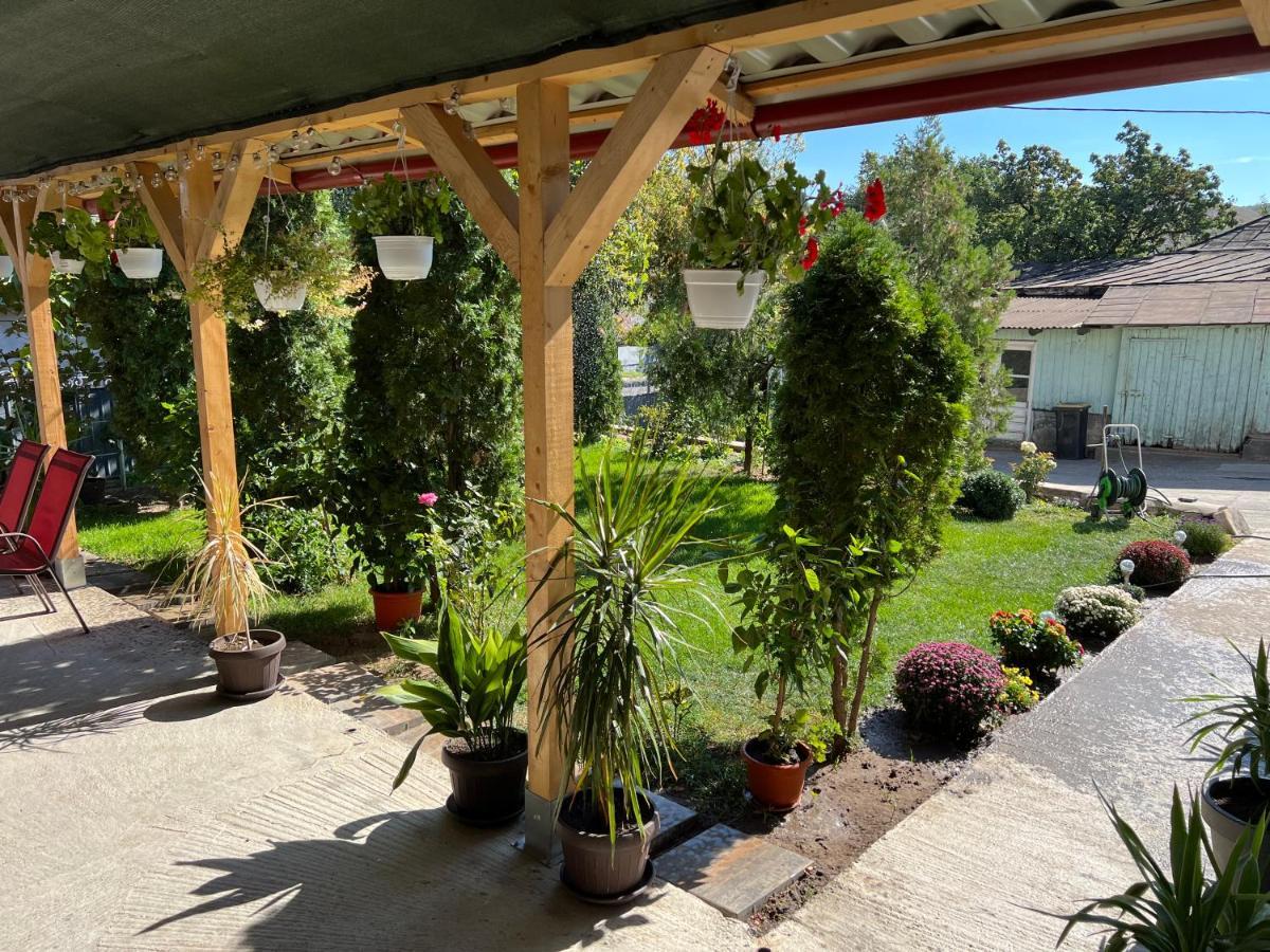 Agropensiunea Vila Cristina Niculitel Экстерьер фото