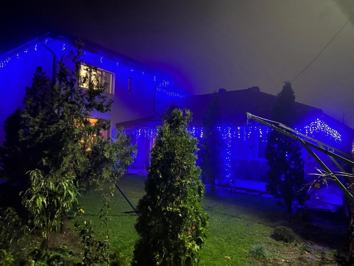 Agropensiunea Vila Cristina Niculitel Экстерьер фото