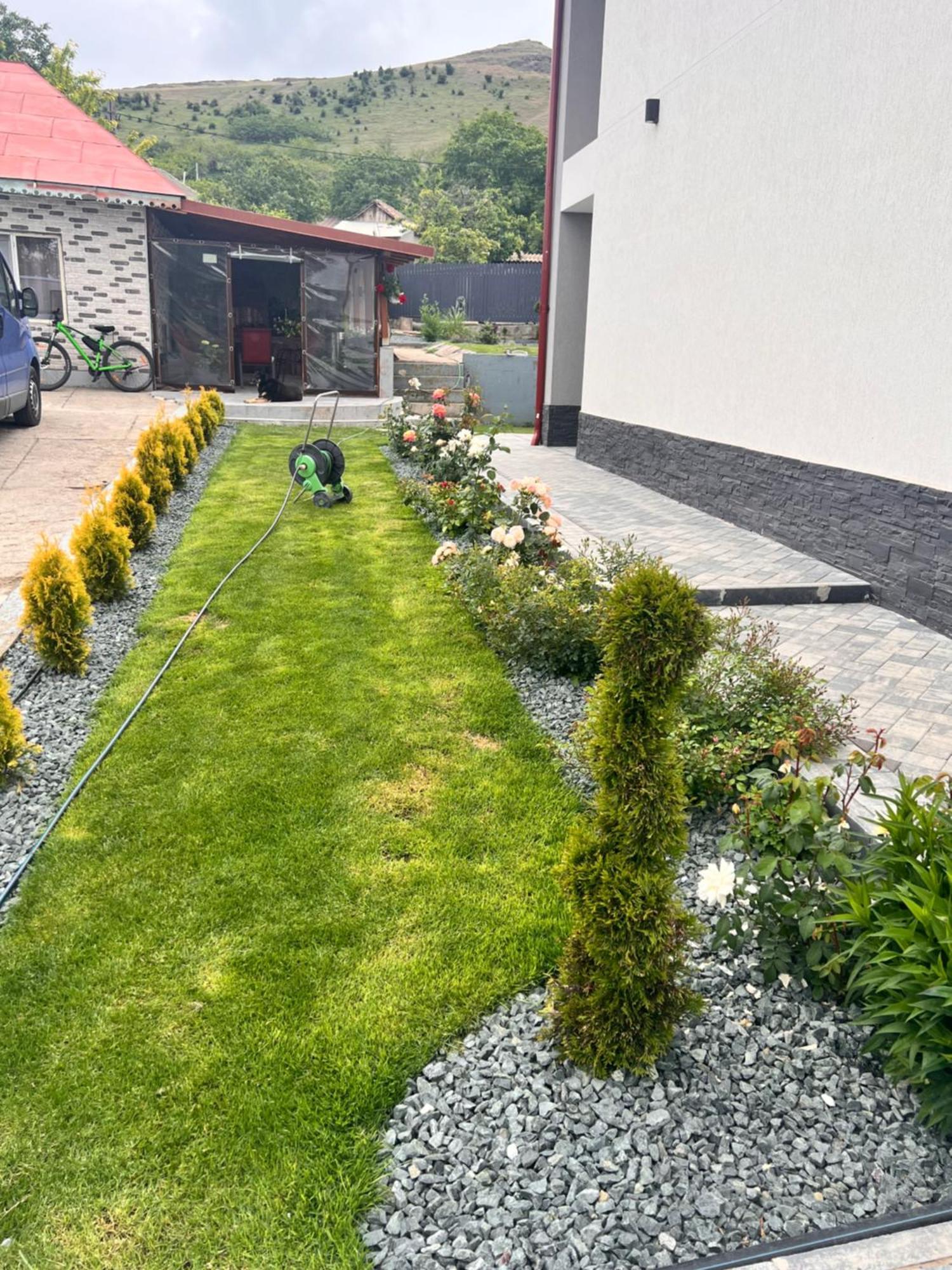 Agropensiunea Vila Cristina Niculitel Экстерьер фото